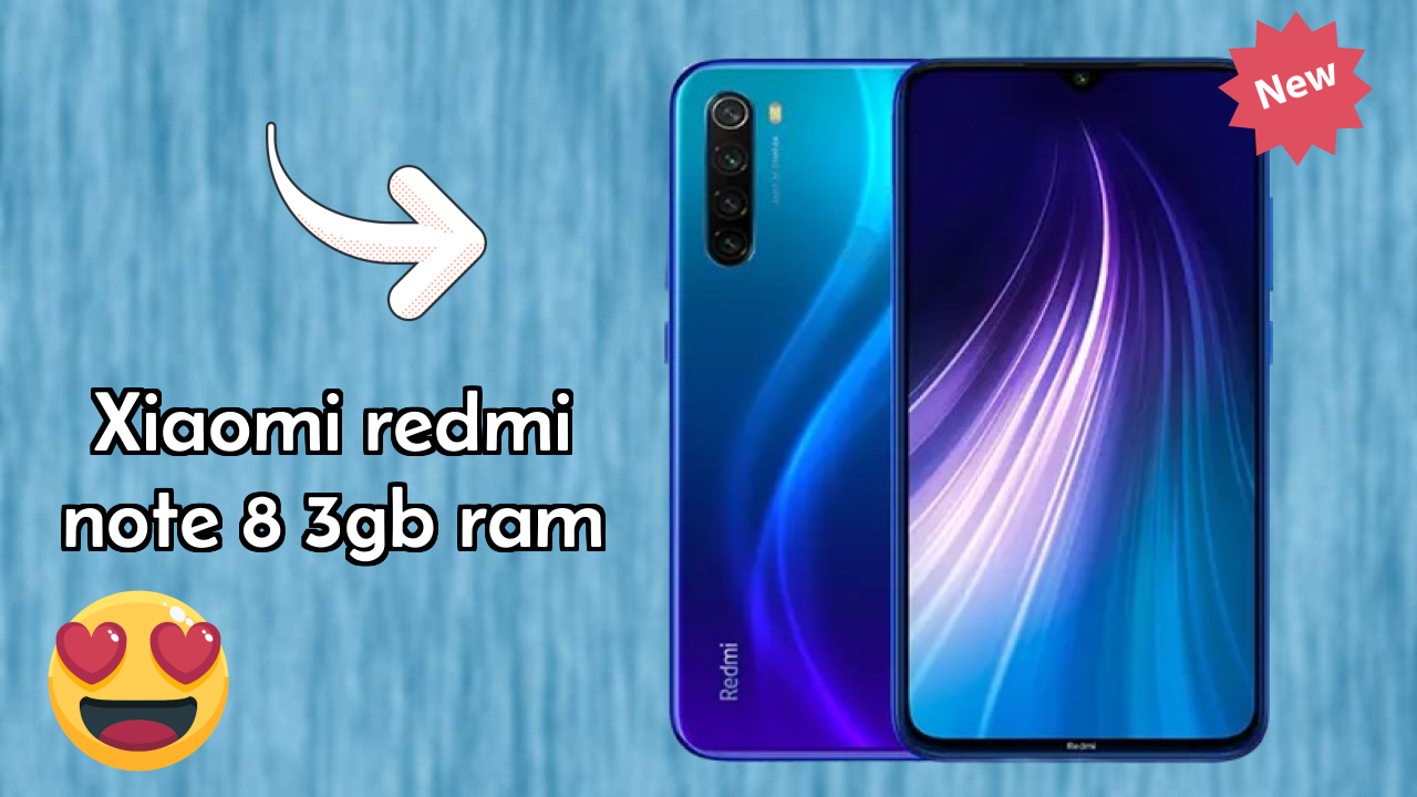 Xiaomi Redmi Note 8 3GB RAM Camera Samples: 48 MP + 8 MP + 2 MP + 2 MP Rear Camera Real Photos